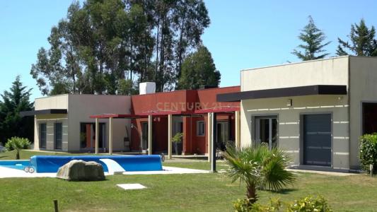 Covilhã, Castelo Branco 6200-868, Portugal