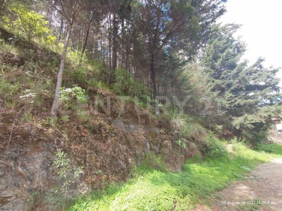 Land For Sale, Tlalpujahua Michoacán 61060 Mexico