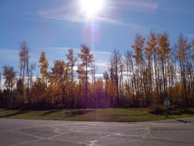 1 BOREAL CRESCENT, High Level, アルバータ T0H 1Z0, カナダ