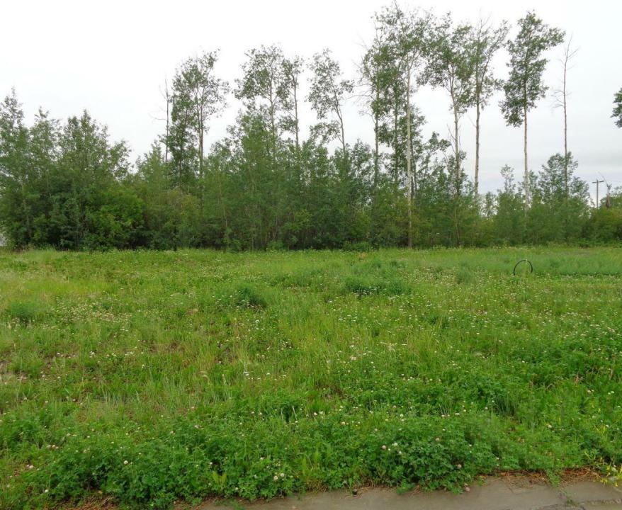 29 CHONKOLAY DRIVE, High Level, Alberta T0H 1Z0, Canada