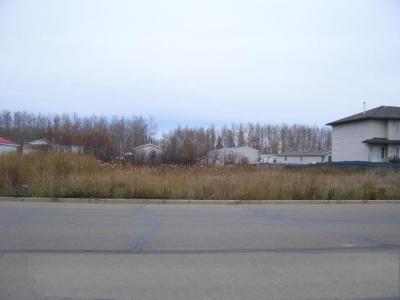 10820 100 AVENUE, High Level, 앨버타주 T0H 1Z0, 캐나다