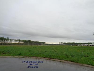 35 CHONKOLAY DRIVE, High Level, Alberta T0H 1Z0, Canada