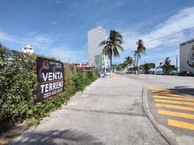 Veracruz, Veracruz 91705, Meksika