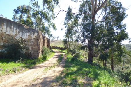 São Brás De Alportel, Faro 8150-014, Portugal