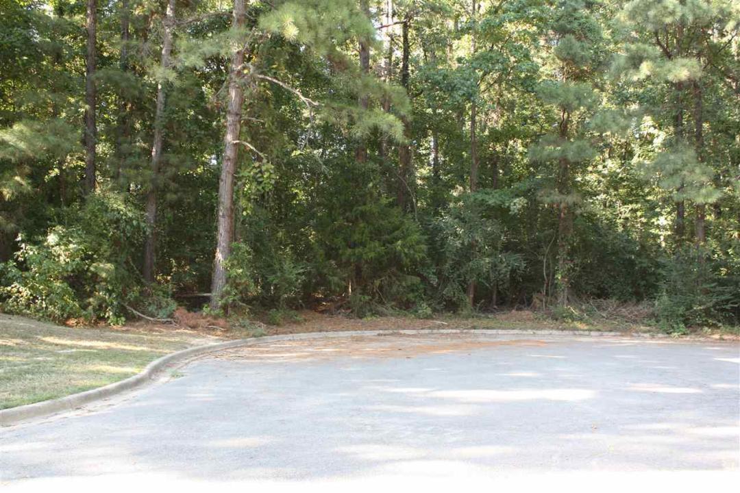 lot 30 Lexington Drive, White Hall, アーカンソー 71602, アメリカ合衆国