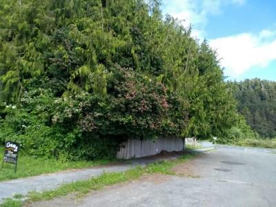 37 Lowell Street, Orick, 加州 95555, 美國