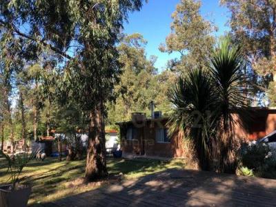 Punta Ballena, Maldonado 2000, Uruguay