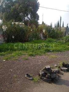 Chalco, Bang México 56607, Mexico