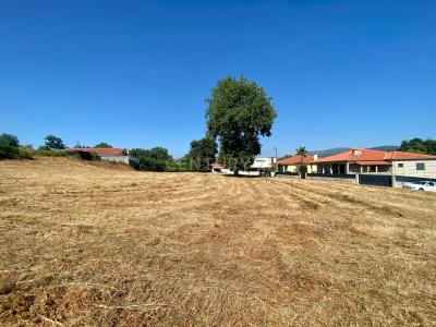 Póvoa De Lanhoso, Braga 4830-757, Portugal