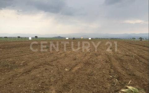 Calimaya, Estado De México 52231, México