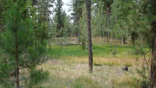 TBD Mission Street, McCall, Idaho 83638, Estados Unidos