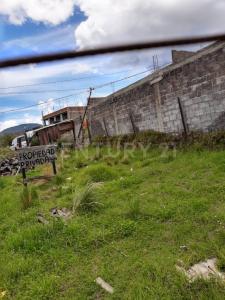Privada de las Rosas ,, Tlalpan, Ciudad De México 14500, Mexico