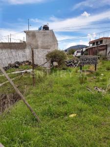 Privada de las Rosas ,, Tlalpan, Ciudad De México 14500, Mexico