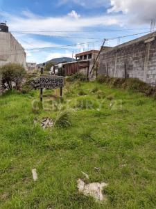 Privada de las Rosas ,, Tlalpan, Ciudad De México 14500, Mexico