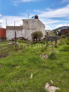 Privada de las Rosas ,, Tlalpan, Ciudad De México 14500, Mexico