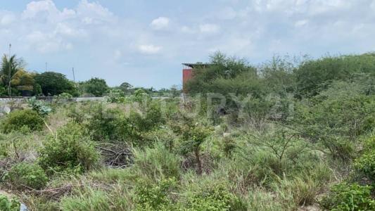 Ciudad Ixtepec, Oaxaca 70110, Mexico