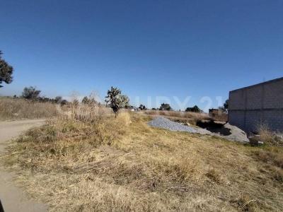 5 DE JULIO SN,, La Magdalena Tlaltelulco, ولاية تلاكسكالا 90833, المكسيك