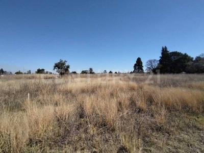 5 DE JULIO SN,, La Magdalena Tlaltelulco, ولاية تلاكسكالا 90833, المكسيك