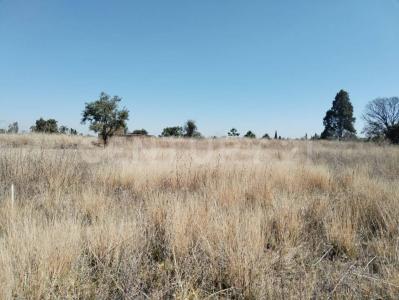 5 DE JULIO SN,, La Magdalena Tlaltelulco, ولاية تلاكسكالا 90833, المكسيك