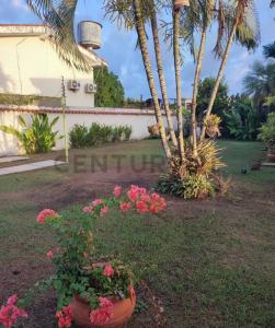 Urb. Ciubalgue Higuerote Casa amoblada, Higuerote, Miranda 1231, Venezuela