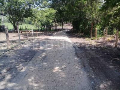 CARRETERA FEDERAL PALENQUE CATAZAJA, PALENQUE, CHIAPAS PROMOCION,,, Palenque, Чьяпас 29960, Мексика