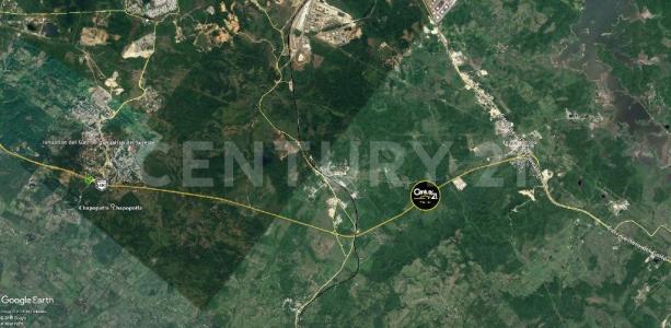 Ixhuatlan Del Sureste, Veracruz 96367, Mexico