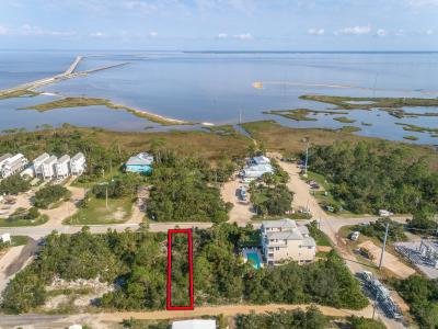 228 E Pine Ave, St. George Island, 佛罗里达州 32328, 美国