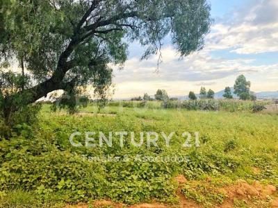 Calle Sin Nombre S/N,, Texcoco, 墨西哥州 56240, 墨西哥
