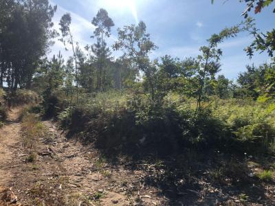 Esposende, Braga 4740-442, Portugal