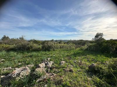 Loulé, Faro 8100, Portugal