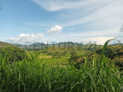 Valencia, Carabobo 00001, 委内瑞拉
