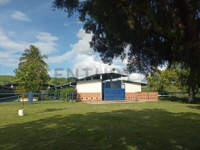 Valencia, Carabobo 00001, 委内瑞拉