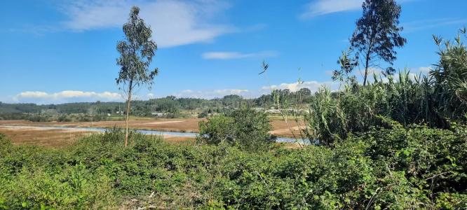 Vagos, Aveiro 3840-412, Portugal