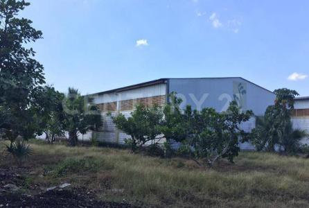 Tapachula, Chiapas 30709, Mexique