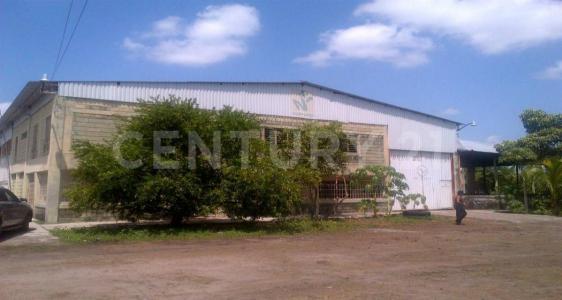Tapachula, Chiapas 30709, Mexique