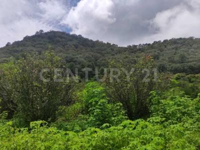 Tenancingo, État De Mexico 52425, Mexique
