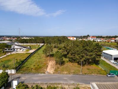 Seixal, Setúbal 2865-659, Portugal