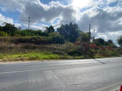 Seixal, סטובל 2865-041, פורטוגל