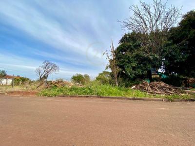 Ruta 6 - Capitán Miranda , Capitán Miranda, Itapúa 00001, Paraguay