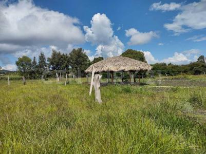 CARR. COMITAN A MARGARITAS KM2, 6A. SUR ORIENTE #108,, Comitán De Domínguez, Chiapas 30037, Meksika