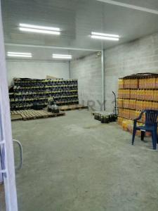 Cumaná, Sucre 6101, 委内瑞拉