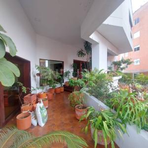 Cali, Valle Del Cauca 00001, Colombia