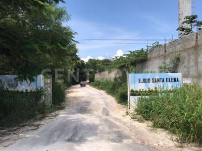 Othon P Blanco, Quintana Roo 77001, México