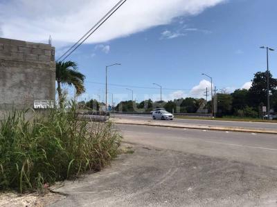 Othon P Blanco, Quintana Roo 77001, México