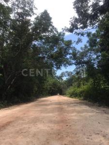 Othon P Blanco, Quintana Roo 77001, México