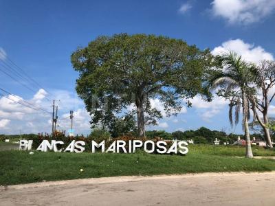 BUGAMBILIA LOTE 15 MZA IV, FRACC. BLANCAS MARIPOSAS S/n,, Paraíso, Tabasco 86615, Mexico