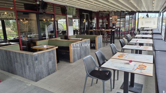 Ljubljana, Bežigrad, Ljubljana, Osrednjeslovenska 1000, Slovenia