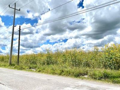 San Martín Texmelucan, Puebla 74129, Mexique