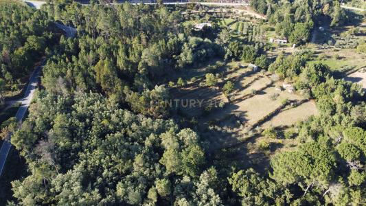 Viseu, Viseu 3505-246, Portugal