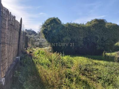 Batalha, Leiria 2480-052, Portugal